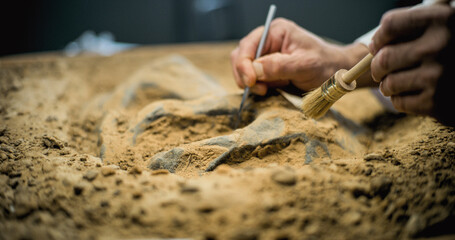 Close up shot of cleaning fossil remains of extinct civilization from sand using professional tool...