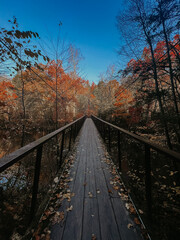 Obraz premium bridge in autumn
