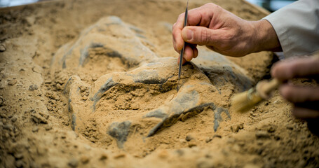 Close up shot of cleaning fossil remains of extinct civilization from sand using professional tool...