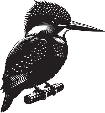 recommend clip art: Beautiful kingfisher bird flying Silhouette vector illustration isolated on a white background
