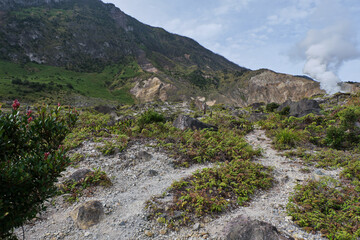 Active Volcano Vents in a Rugged Terrain