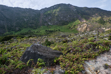 Vibrant Green Slope at the Base of a Rocky Mountain