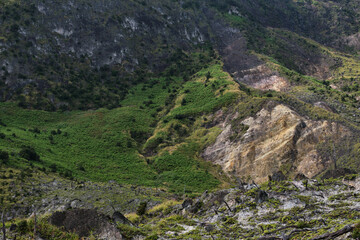 Greenery Against Rugged Volcanic Terrain