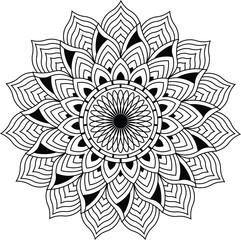 Vector hand drawn doodle mandala with ethnic ornaments.