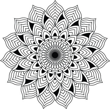 Vector hand drawn doodle mandala with ethnic ornaments.