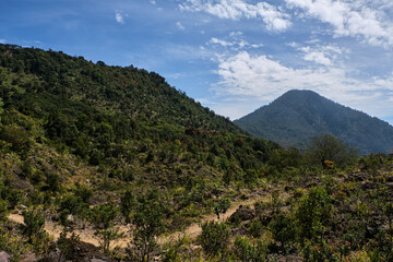 Mountain Peaks Rising Amid Verdant Forests