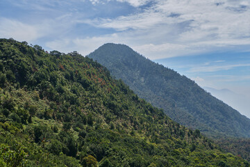 Mountain Peaks Rising Amid Verdant Forests