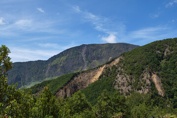 Lush Green Mountain Valley Under a Clear Sky