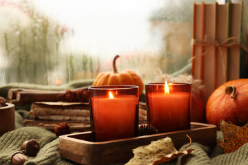Burning candles and autumn decor on green sweater near window