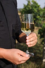 Man holding glass with tasty wine outdoors, closeup