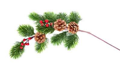 Pine branch with red berries and cones isolated on transparent background 