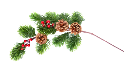 Pine branch with red berries and cones isolated on transparent background 