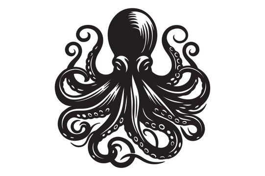 recommend clip art: Octopus silhouette vector illustrations