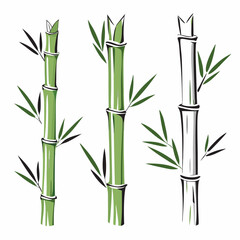 Isolated bamboos on a isolated white background (2)