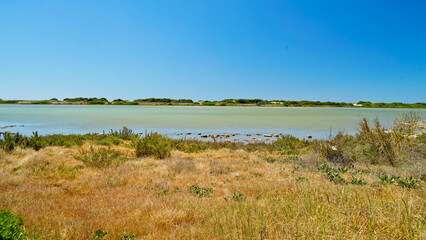 Riserva Naturale Salina Monaci, Torre Colimena,Taranto,Puglia,Italia