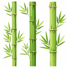 Isolated bamboos on a isolated white background (18)