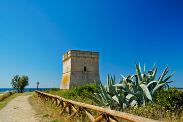Torre Santo Stefano, vista dalla spiaggia, Salento,Lecce,Puglia,Italia