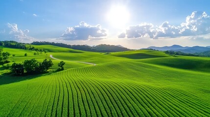 Morning Glory: Awe-Inspiring Aerial Vista of Tranquil Rural Scenery at Sunrise