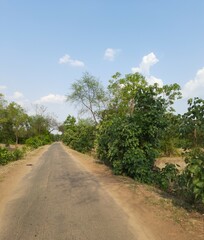 A serene countryside road winding through untouched wilderness, showcasing the beauty of rural landscapes and dense jungle trees in one of the states of India