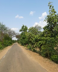 A serene countryside road winding through untouched wilderness, showcasing the beauty of rural landscapes and dense jungle trees in one of the states of India