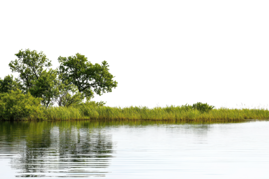 A serene riverside scene with lush green trees and grass reflected in calm, clear water, creating a tranquil and natural setting.