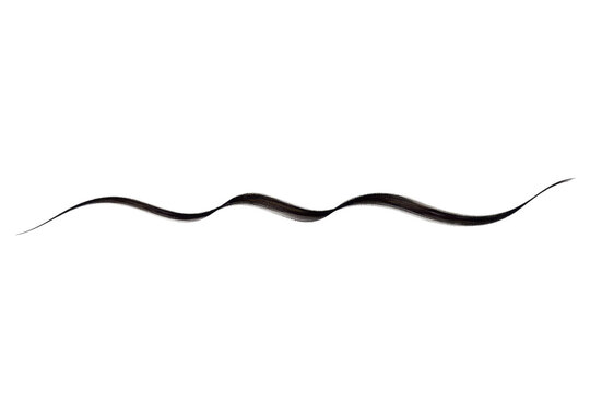 Abstract black wavy line on a transparent background, ideal for design elements, borders, and decorative purposes.