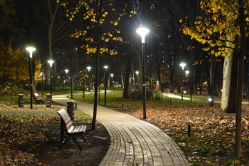 Obraz premium Urban Park at Night with Energy Efficient Lighting for a Safe and Eco-Friendly Environment