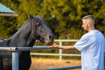man feeding carrots to black horse

