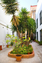 Vintage patio in Cordoba, Spain