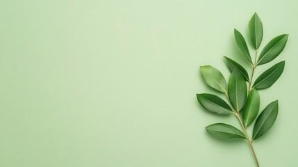 Green Branch with Leaves on Green Background