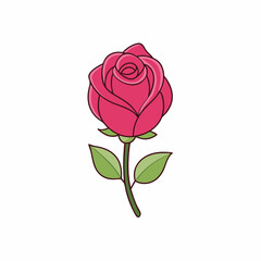 Fototapeta premium Pink rose flower bud flower isolated on a white background