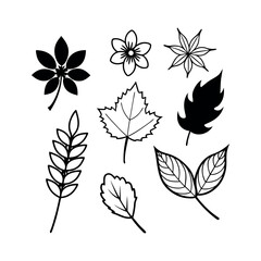 Set of wild flowers and leaves floral element Clipart isolated vector illustration