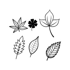 Set of wild flowers and leaves floral element Clipart isolated vector illustration