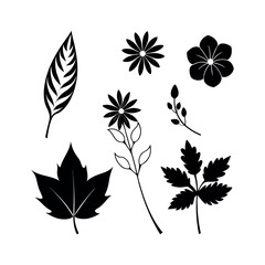 Set of wild flowers and leaves floral element Clipart isolated vector illustration