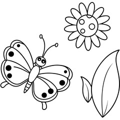 butterfly on a white background