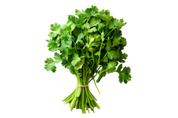 A vibrant bunch of cilantro with lush green leaves isolated on a white transparent background. Perfect for salads, various cooking methods, and healthy, nutritious dishes