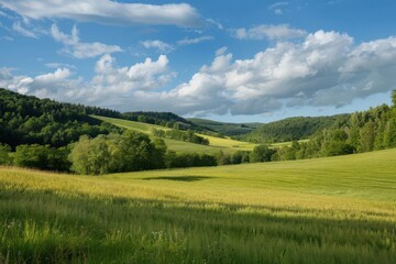 Obraz premium Rural countryside