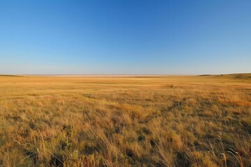 Fototapeta premium Wide open plains