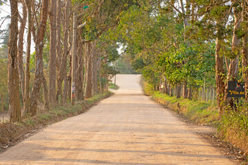 path in the park