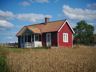 Obraz premium Small vintage red wooden private house near a field. Typical house in Scandinavian countries.