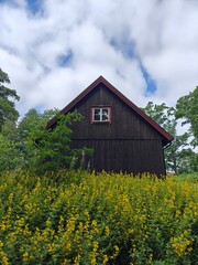 Old vintage wooden house, izba