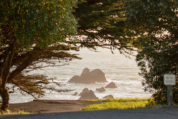 Shell Beach, Bodega Bay Sunset