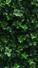 Obraz premium Smartphone wallpaper. Background filled with dark green leaves