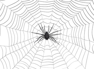 Fototapeta premium Halloween party background with spiderwebs isolated on transparent,blank space for text,element template for poster,brochures, online advertising