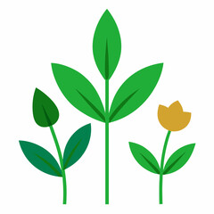 Fototapeta premium Plants and flower vector on white background