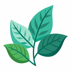 Leaves vector isolated on white background