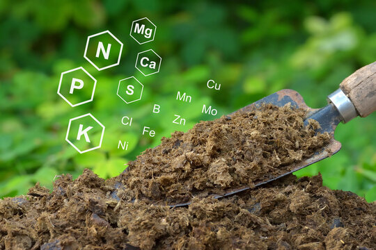 Image of manure with green plants background