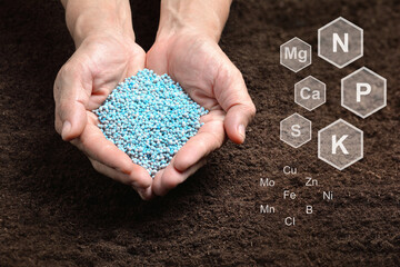 Chemical fertilizers in hand on soil background