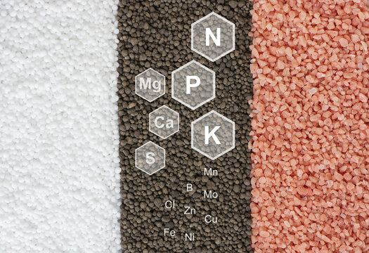 Chemical fertilizers nitrogen, phosphorus, potassium isolate on