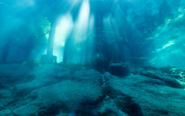 Obraz premium underwater scene